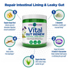 Vital Gut Renew - 13.76 oz.