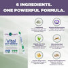 Vital Gut Renew - 20 Single Servings Packs