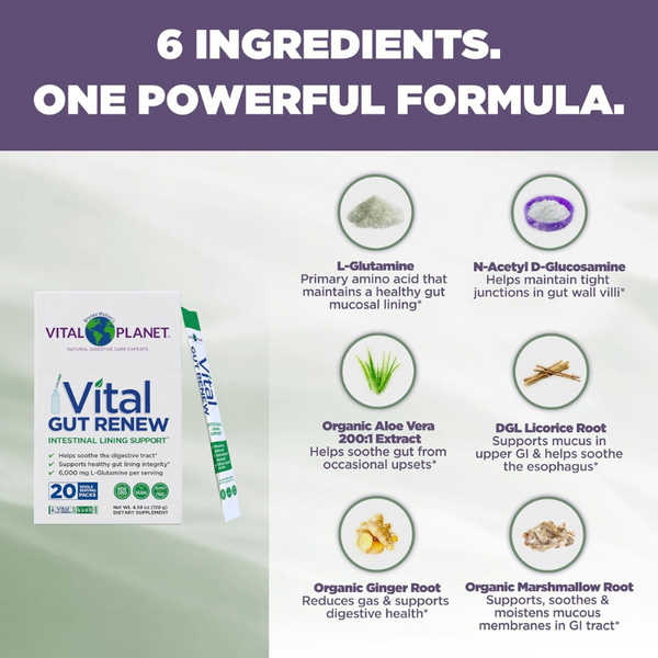 Vital Gut Renew - 20 Single Servings Packs