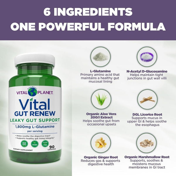 Vital Gut Renew – Gut Lining &amp; Digestive Support 90 Caps