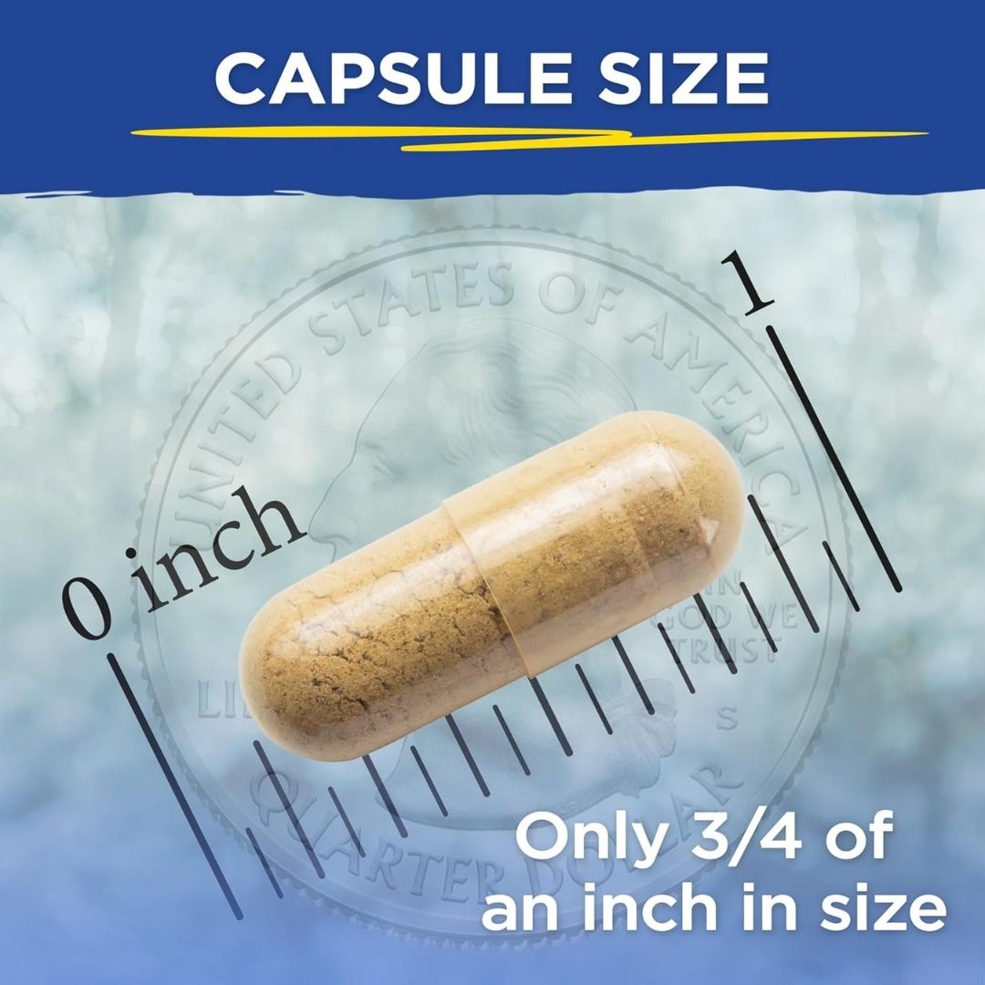 Vital Planet CRITICAL LIVER CARE Daily Liver Support 90 Caps