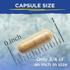 Vital Planet CRITICAL LIVER CARE Daily Liver Support 90 Caps