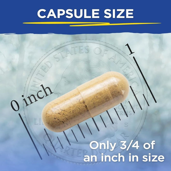 Vital Planet CRITICAL LIVER CARE Daily Liver Support 90 Caps