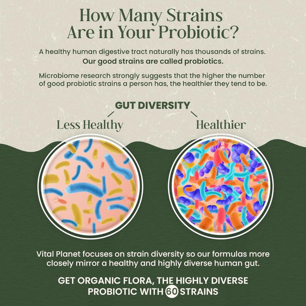 Vital Planet Organic Flora Gut Balance – 30 Capsules