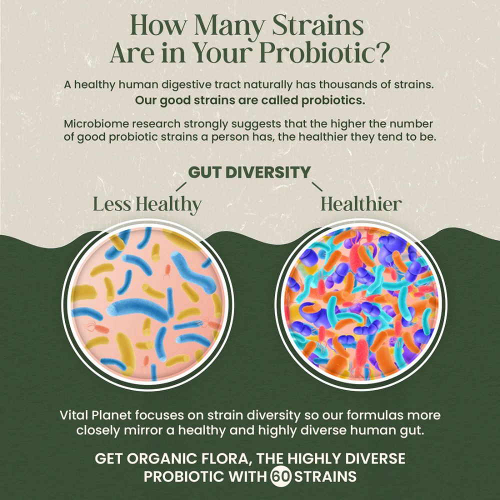 Vital Planet Organic Flora Probiotics for Men – 30 Capsules