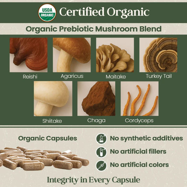 Vital Planet Organic Flora Probiotics for Men – 30 Capsules