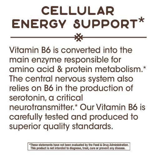 Vitamin B6 100 ct