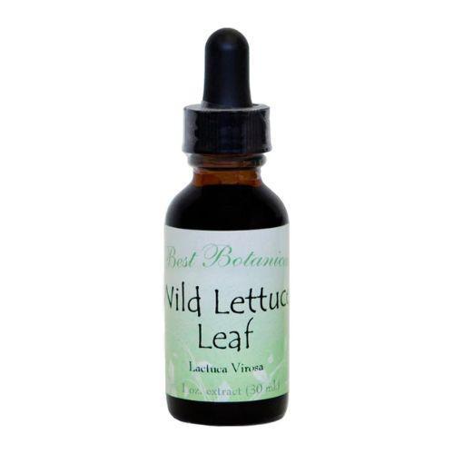 Wild Lettuce Leaf Extract - 1 oz