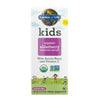 Garden of Life Kids Elderberry Immune Syrup - 3.9 fl oz