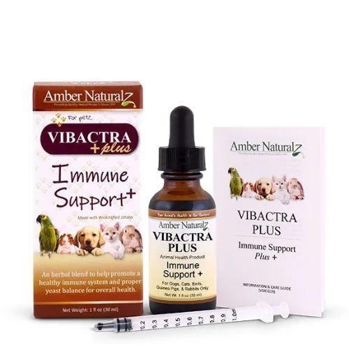 Immune Support (Vibactra Plus)-1 oz.