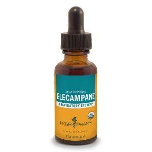 Elecampane Extract - 1 oz