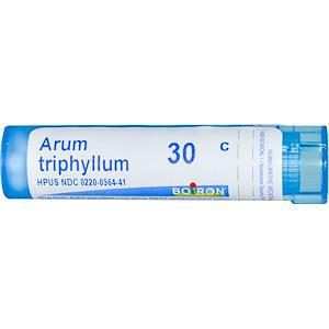 Arum Triphyllum 30c 80 ct