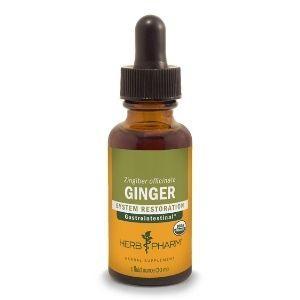 Ginger Extract - 1 oz